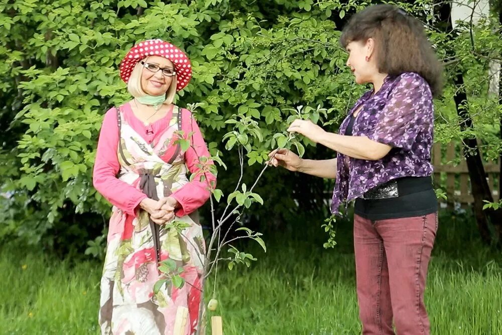 Программа про сад. 4. Огород. Наш сад рубин 10. Программа наш сад.