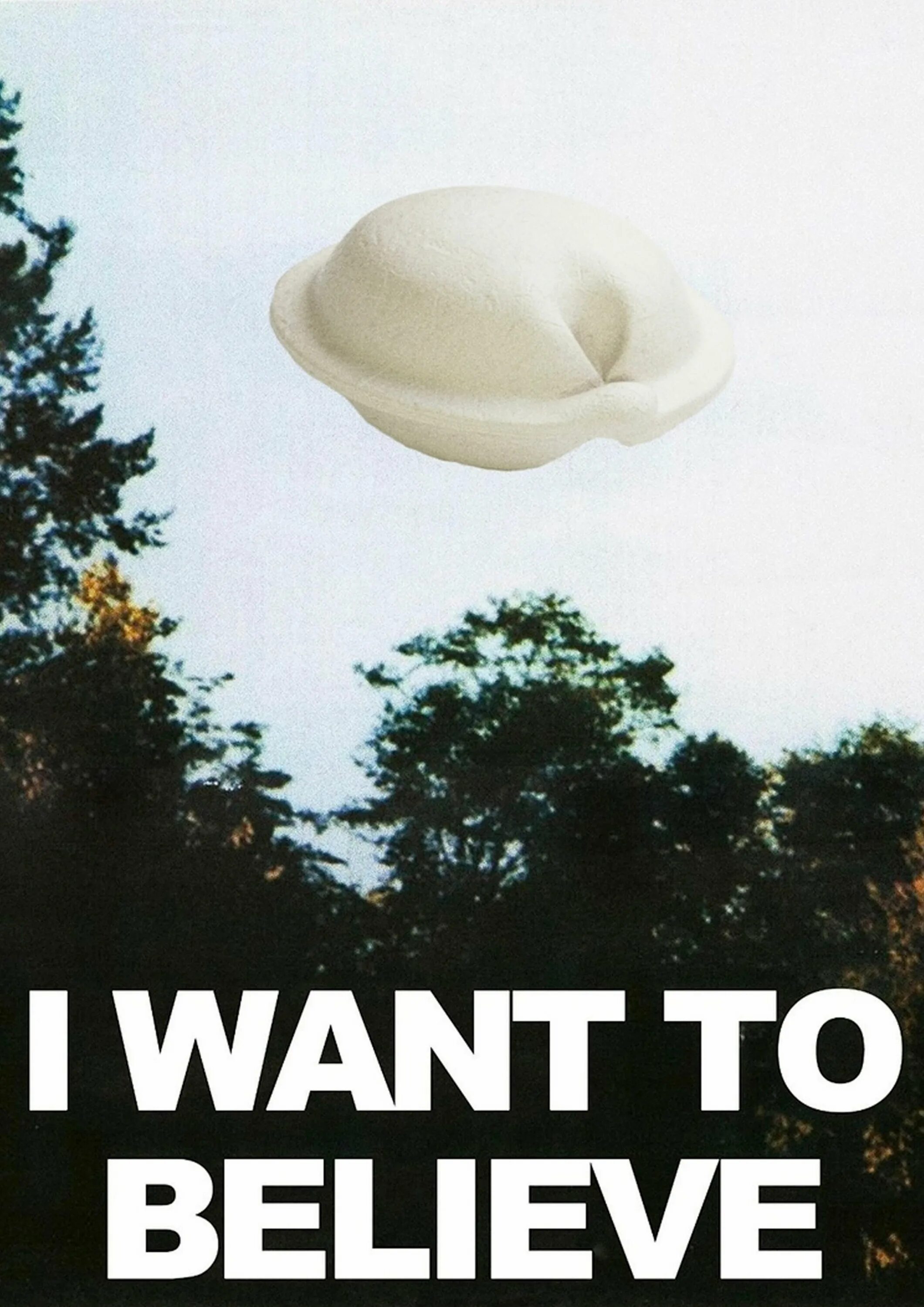 I want send. Постер i want to believe. i want to believe утопия шоу. i want to believe хорошее качество. плакат ай вонт ту белив.