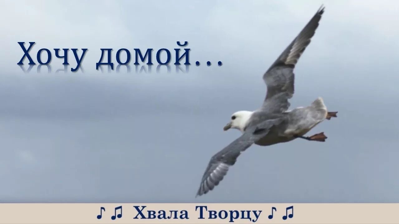 Христианская песня домой домой. Домой с песнями. Христианская песня домой домой. Дорога домой песня. Я возвращаюсь домой песня.