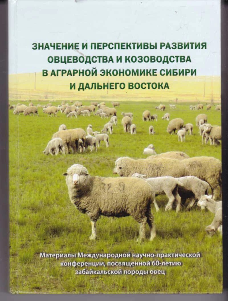 Овцеводство отрасль специализации. Перспективы развития овцеводства. Овцеводство в Восточной Сибири. Овцеводство развито в. Овцеводство и козоводство в России.