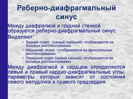 Реберные синусы