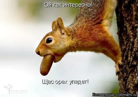 Сейчас будет интересно