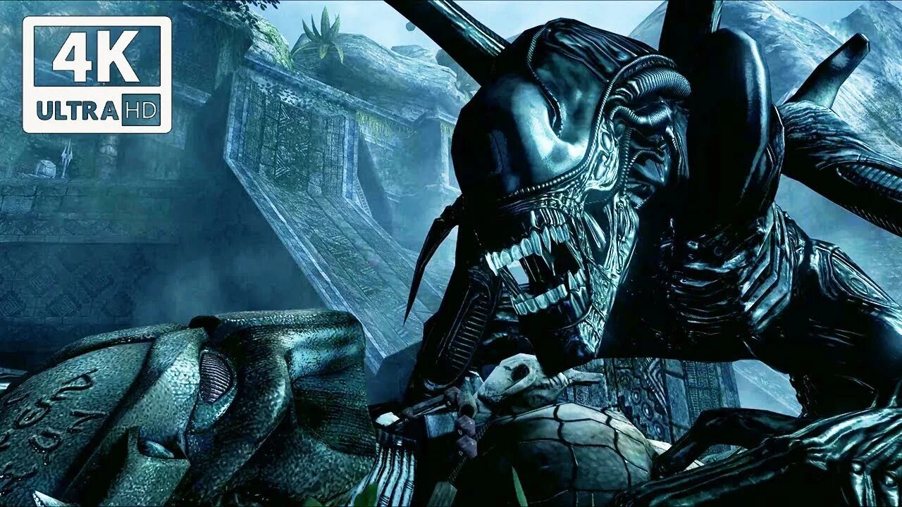 Aliens vs. Predator (игра, 2010). Alien vs Predator игра чужой. Alien vs Predator 2010. Alien vs Predator 2010 предалиен. Хищник 4 найти