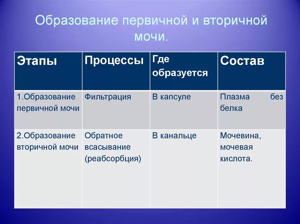 Сколько образуется вторичной мочи. Первичная моча механизм образования состав объем. Первичная и вторичная моча где образуется и состав. Образование первичной мочи и вторичной мочи таблица. Первичная ивтоиичная моча.