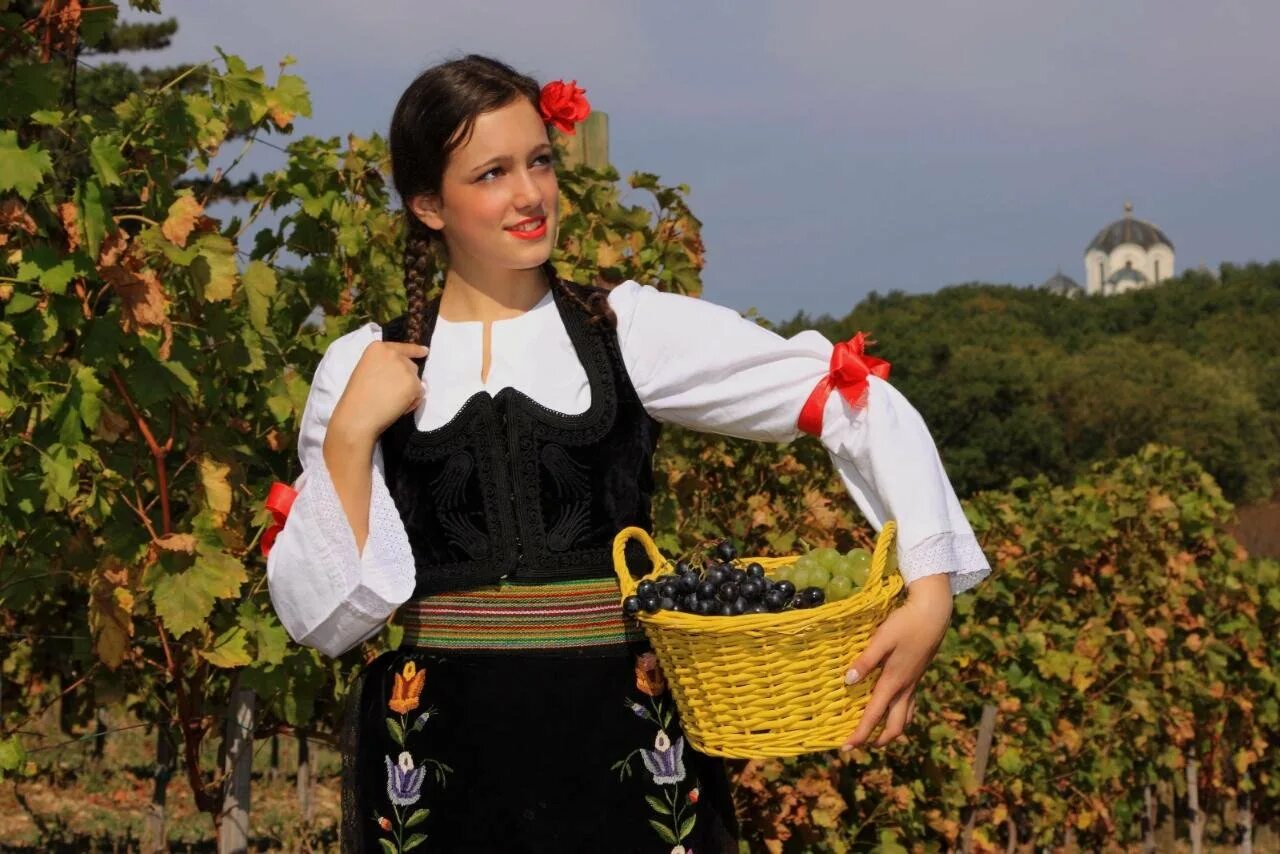 Молдаван нация. Смуглянка Молдаванка собирает виноград. Смуглянка Молдаванка костюм. Смуглянка собирает виноград. Национальный костюм Молдавии.