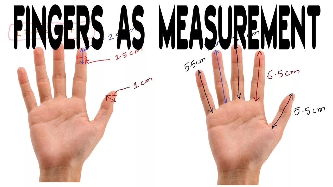 Using your hands. Finger measurement. finger size. your finger. inch in fingers.