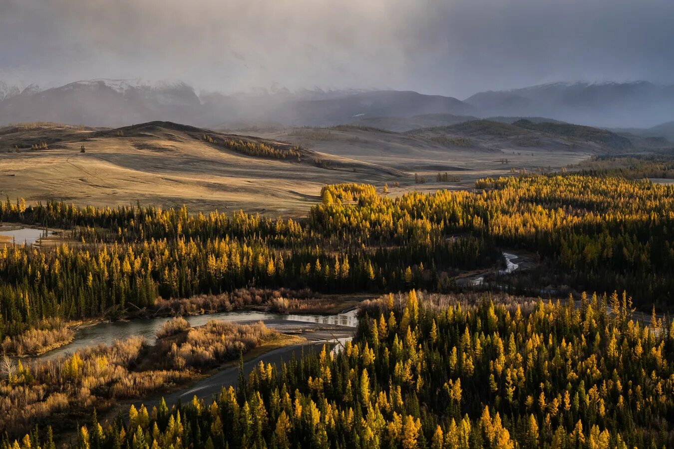 Россия в фотографиях русское географическое. Курайская степь горный Алтай. Курайскую степь горный Алтай + маральник. Курайская степь закат. Географическое общество России фотоконкурс.