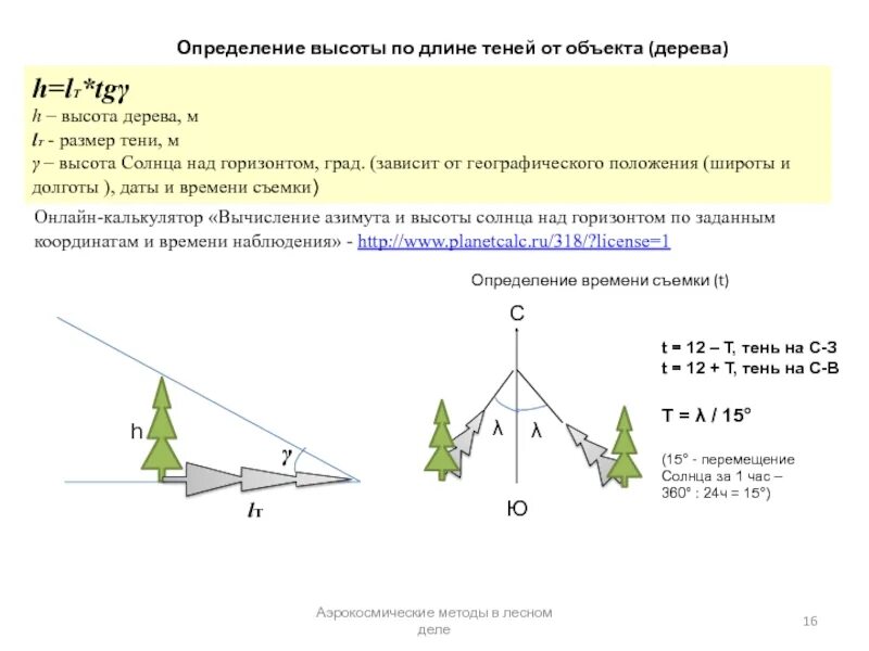 Угол тени от солнца. Измерение высоты дерева по тени. Измерение высоты по длине тени. Определение высоты объекта. Определить высоту дерева по тени.