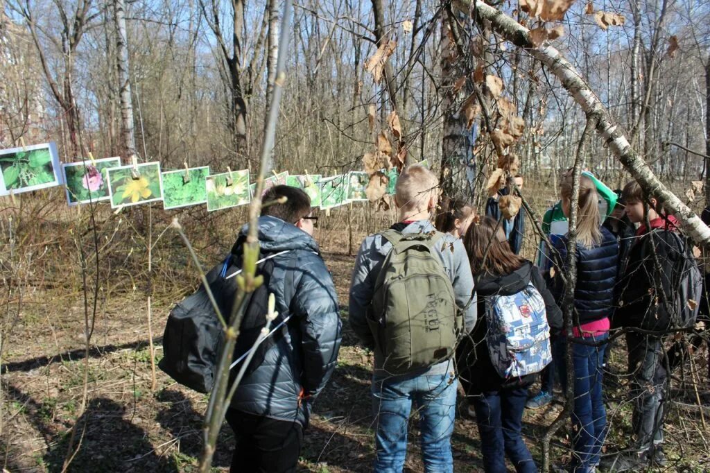 Дубовая роща Маяк в Тушино. Экологический квест. Дубовая роща Маяк в Южном Тушино 1980. Квест Тушино. Сайт южное тушино