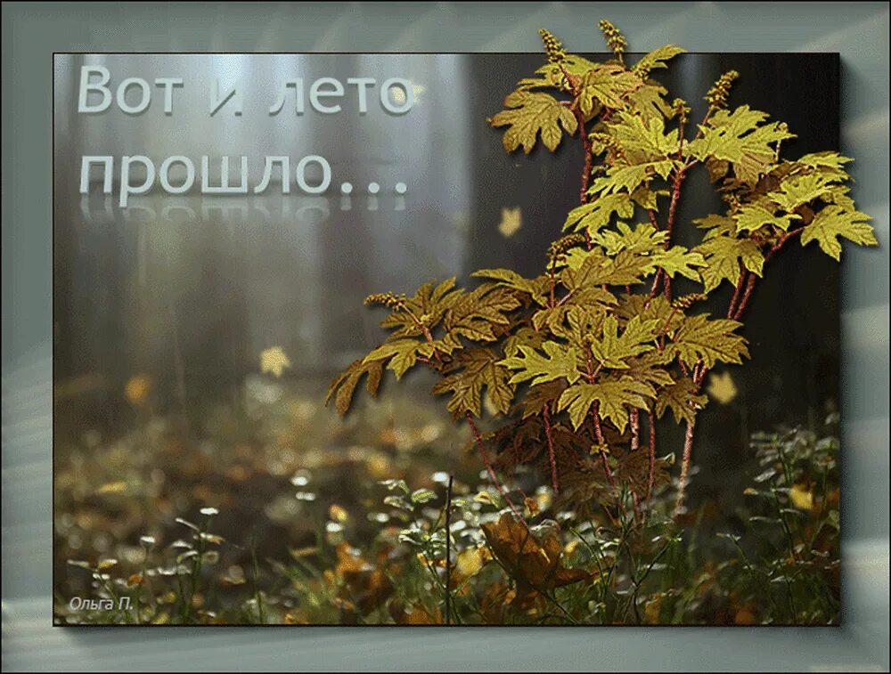 Егор летов и махно. Гражданская оборона егор летов смерть. На ленинских горах егор летов. Милые фото егора летова. Солнце неспящих фильм 1992.