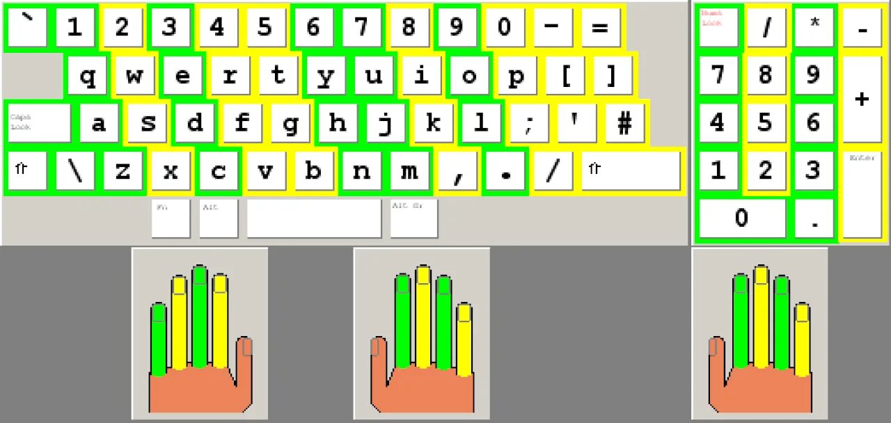 Пальцевый метод печати. Слепая печать. 10 Пальцевый метод печати. Слепой метод печати на клавиатуре. Расположение пальцев при слепой печати.