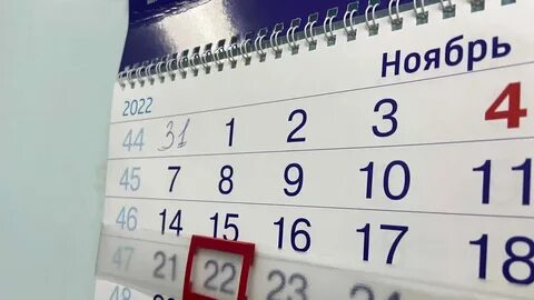 Расписание на 24 ноября