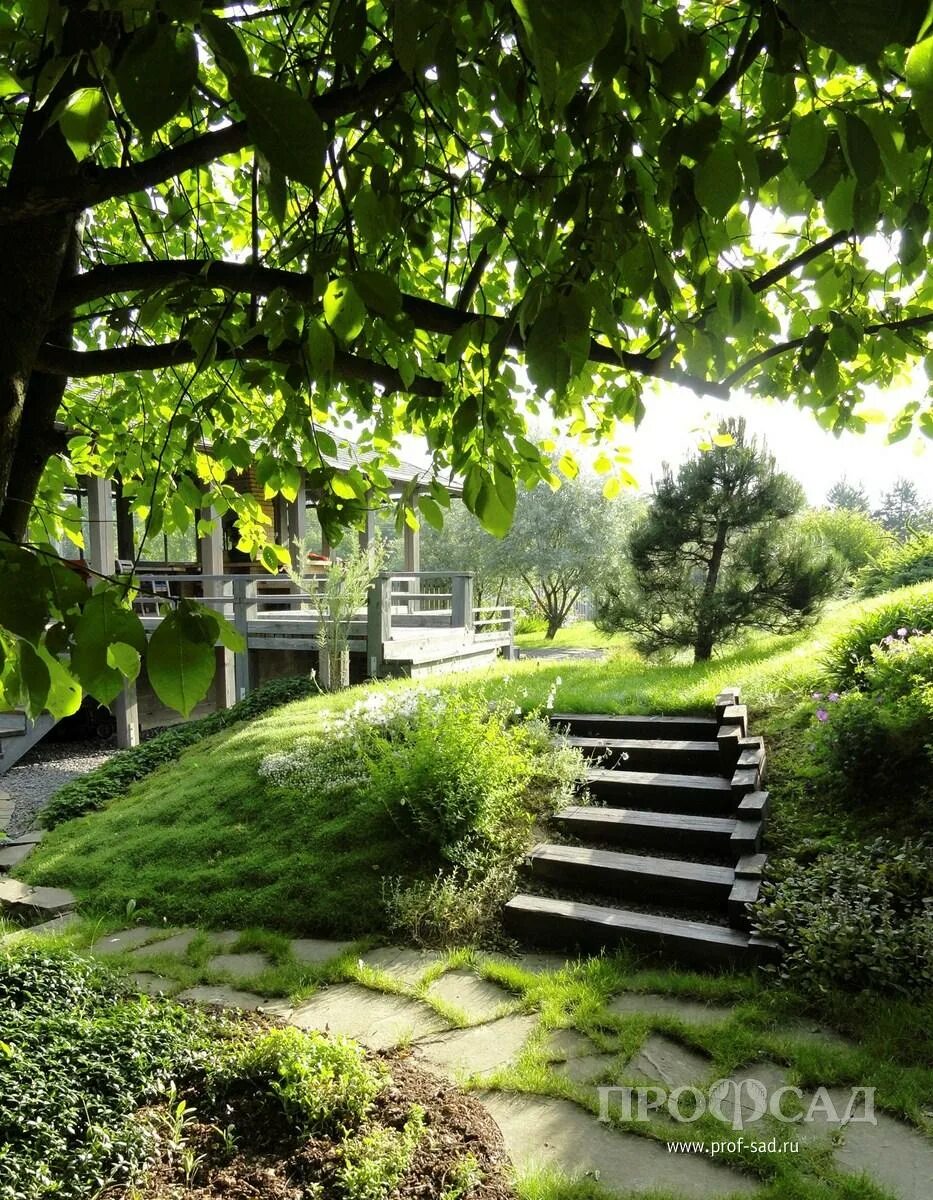 Проф сады. Александр щенев ярославль сад. Проф сады. Замечательные сады профсад. Сад ольги кобец ленинградская область.