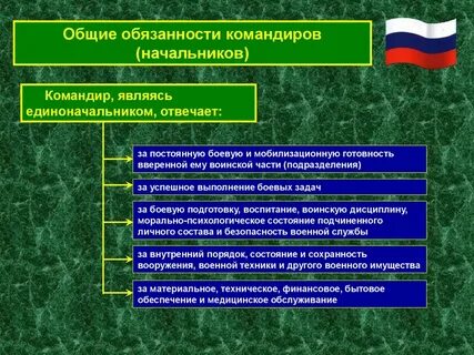 Задачи и обязанности должностных лиц
