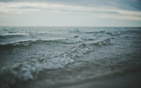 Море черное или белое без него прожить