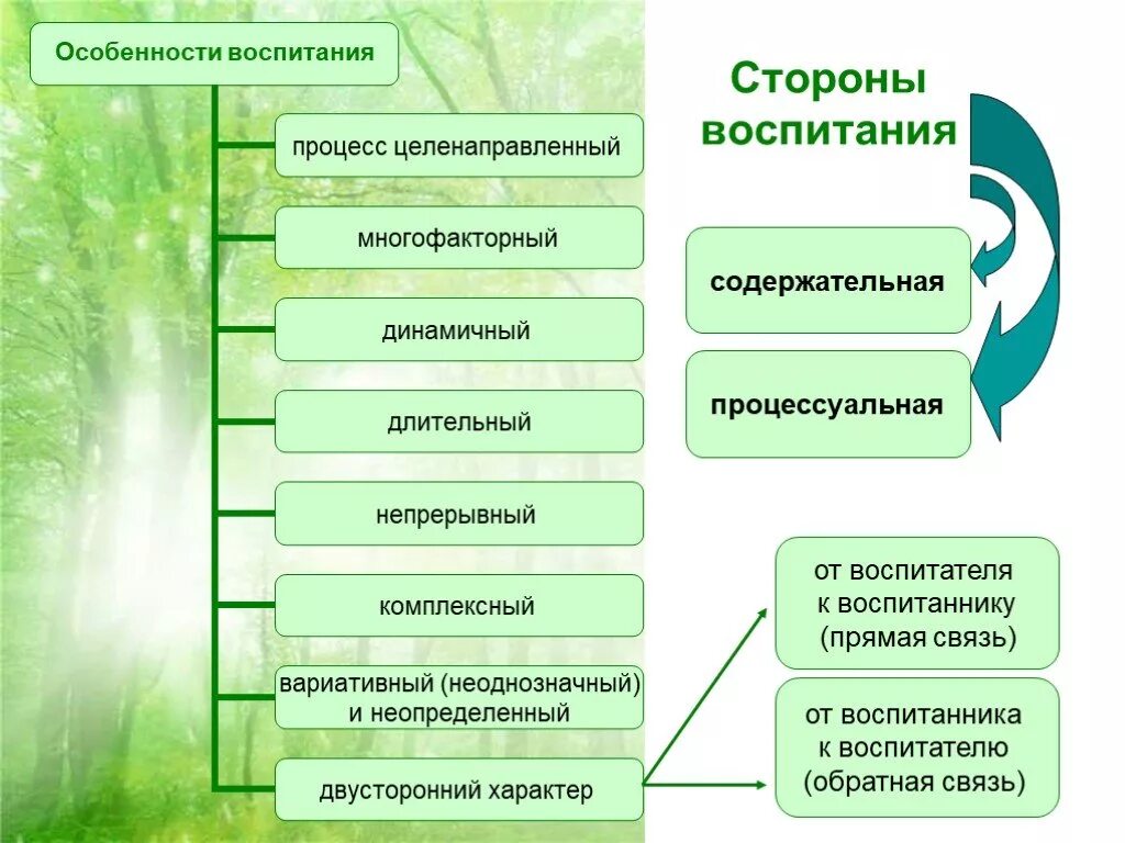 Методами воспитания называются. Особенности процесса воспитания. Особенности воспитательного процесса. Специфика воспитания в педагогике. Специфика процесса воспитания.