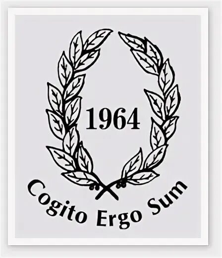 Эрго сум. Cogito Ergo sum тату. Когито Эрго сум на латыни. Cogito Ergo sum тату на руке. Cogito Ergo sum Мем.