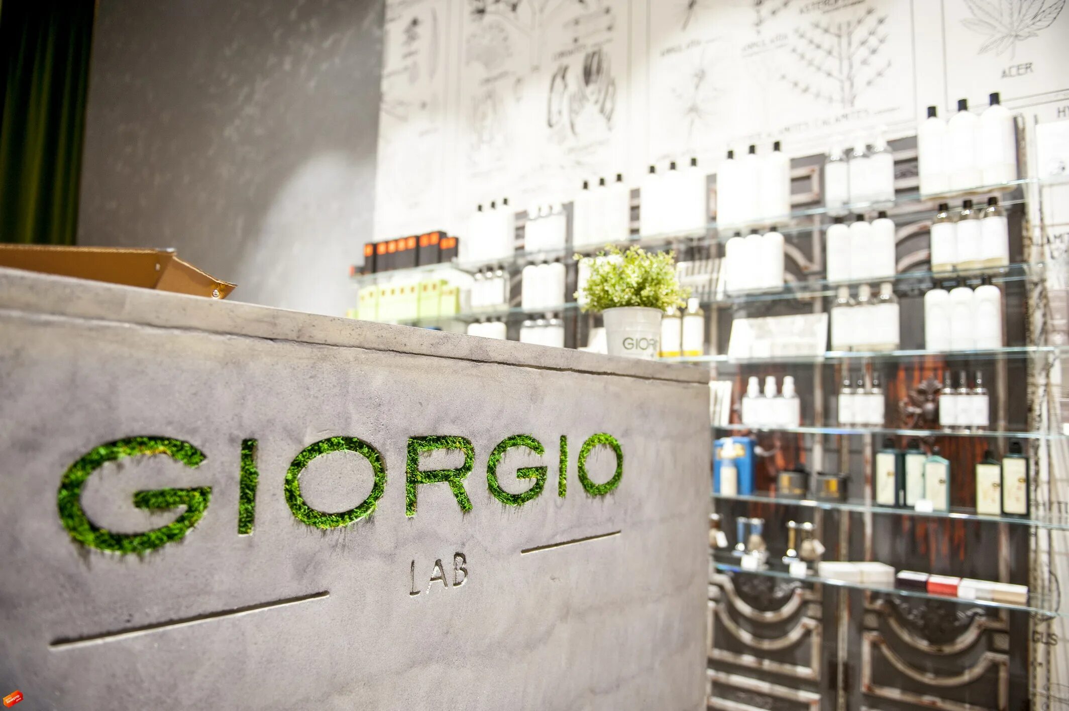 Обои на рабочий стол salomon s-lab. Giorgio s lab. Giorgio s lab. Giorgio парфюмерный бутик ростов на дону. Giorgio бутик духи.