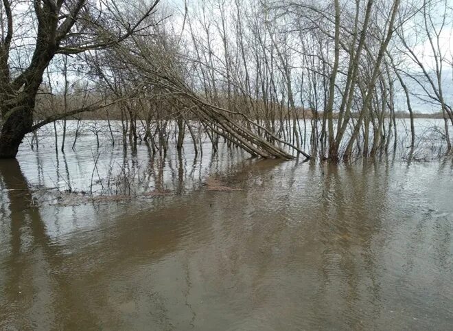 Паводок в рязанской области сейчас. Спасск Рязанский половодье. Наводнение в Рязанской области. Ока вышла из берегов. Разлив Ермишинский район половодье.