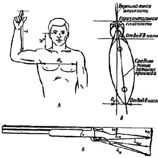 Ложи скорость