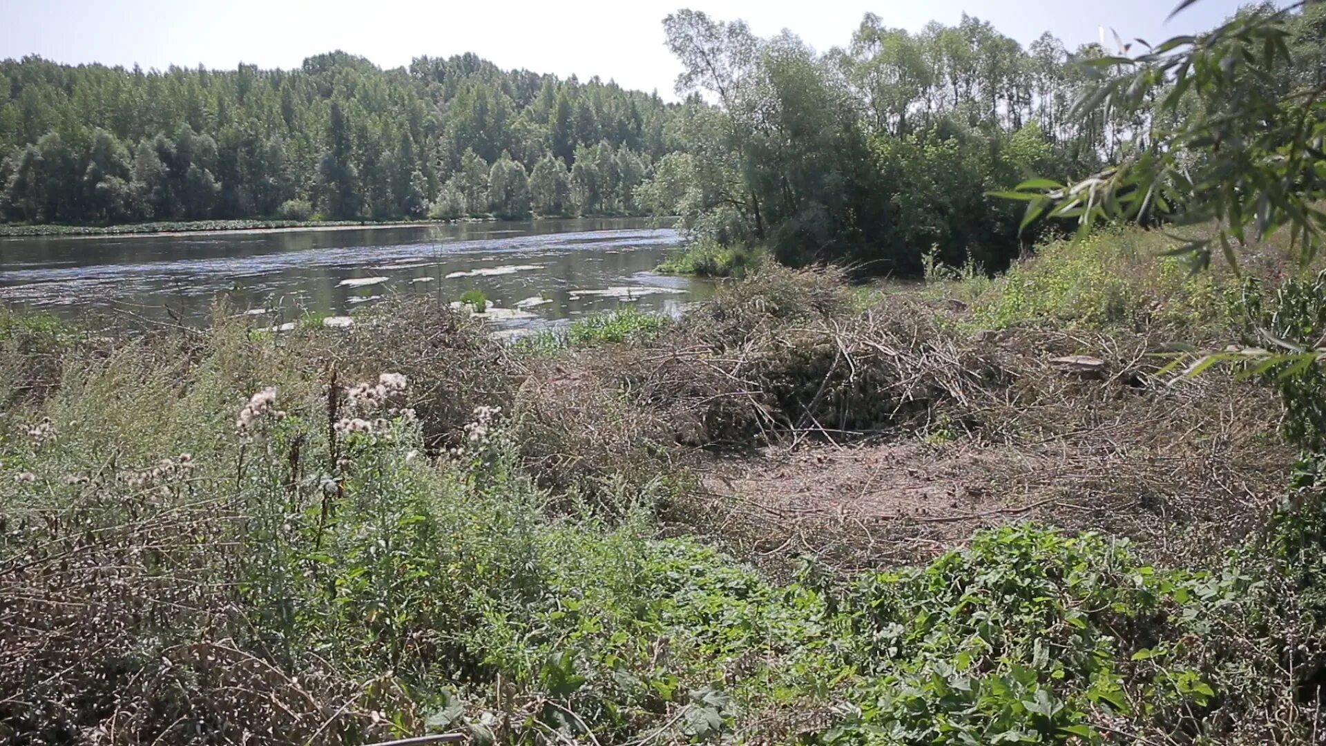 Озеро зайчихино ленинградская. Земля в белых берегах. Коттеджный поселок белый берег донцо. Земля в белых берегах. Земля в белых берегах.