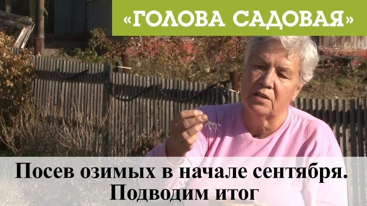 Голова садовая с тетей таней. Голова садовая блоггер. Таня садовые. Таня садовые. Сайт голова садовая с тетей таней последние выпуски.