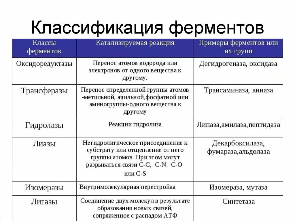 Особенности реакций ферментов. 3. Классификация ферментов. Строение и классификация ферментов биохимия. Химическая структура и функции ферментов. 6 Классов ферментов биохимия.