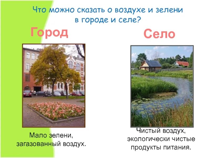 В городе и деревне 8