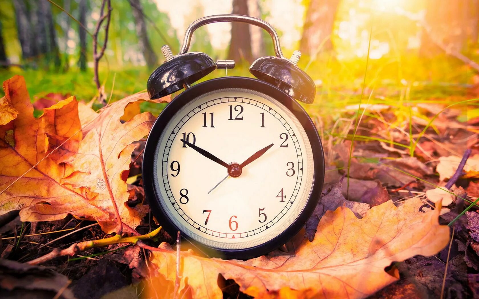 Осенние часы. Осень это время. Осенний будильник. Будильник и осень. Красивая осень время