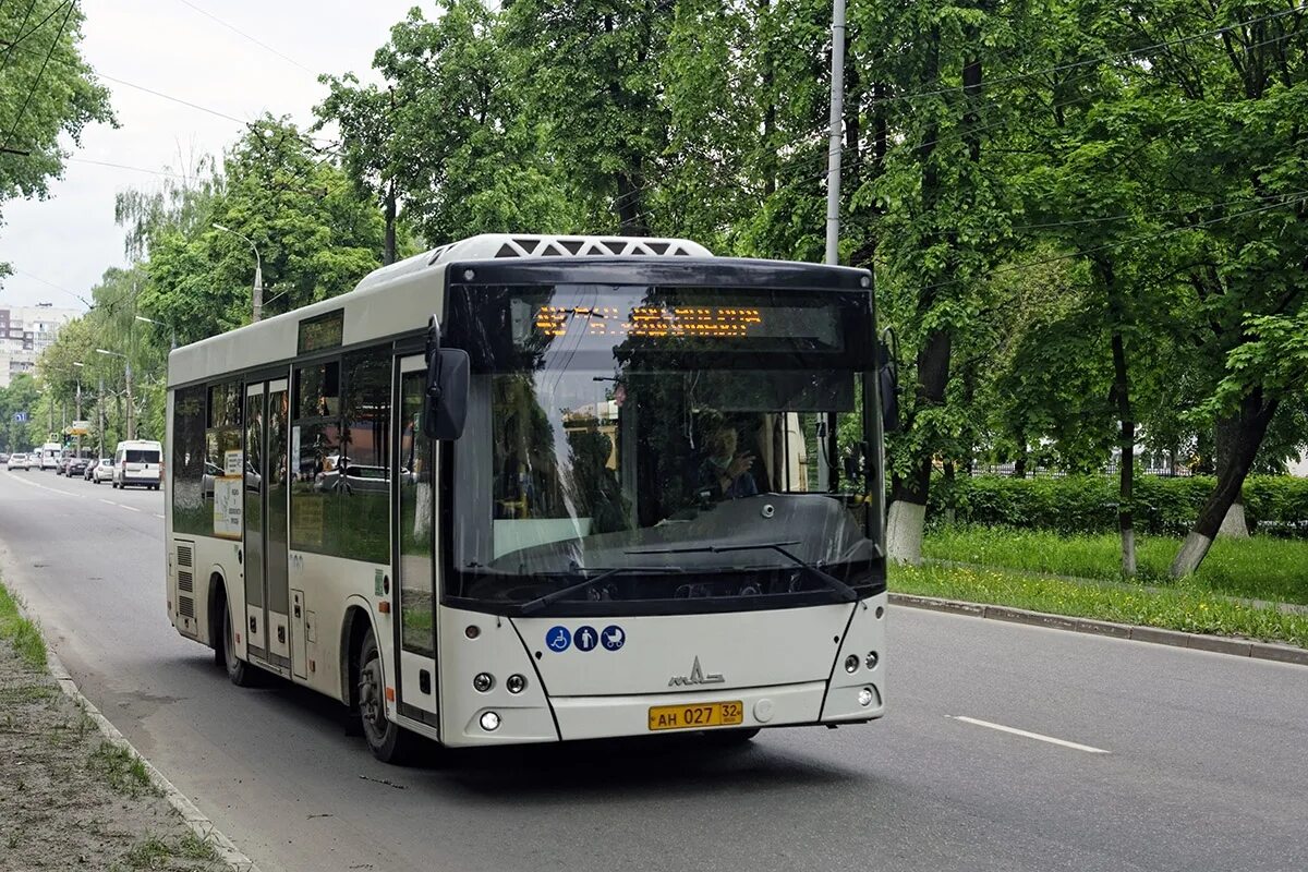 24 автобус брянск. Маз 206 086. маз 206 2025. маз 206 брянск. маз 206.047.