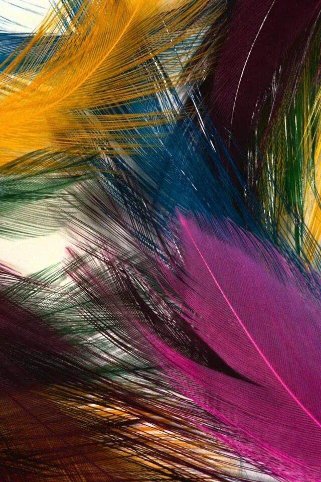The most beautiful color