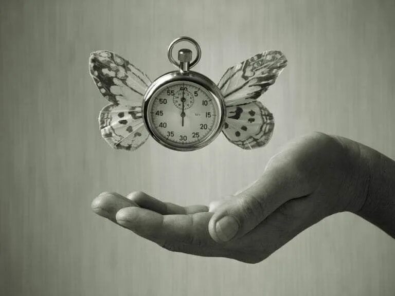 Life clock