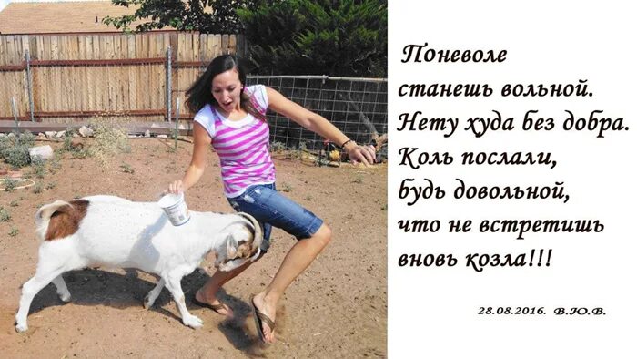 Нет худо без добра значение. Нет худа без добра. выражение нет худа без добра. нет худа без добра ситуация. поговорка нет худа без добра как понять.