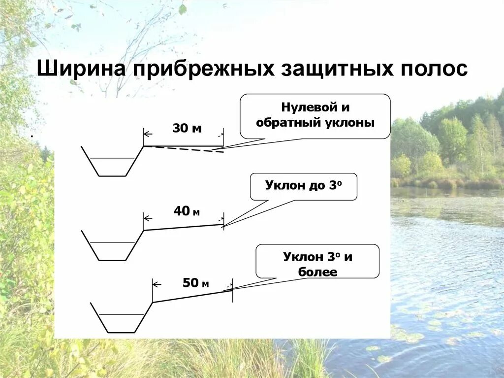 Береговая защитная зона. Береговая линия водоохранная зона. Уклона берега водного объекта. Обратный уклон берега. Водоохранная зона и Прибрежная защитная полоса.