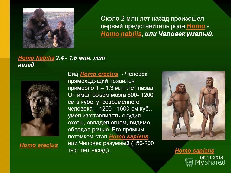 Происходит в первые семь