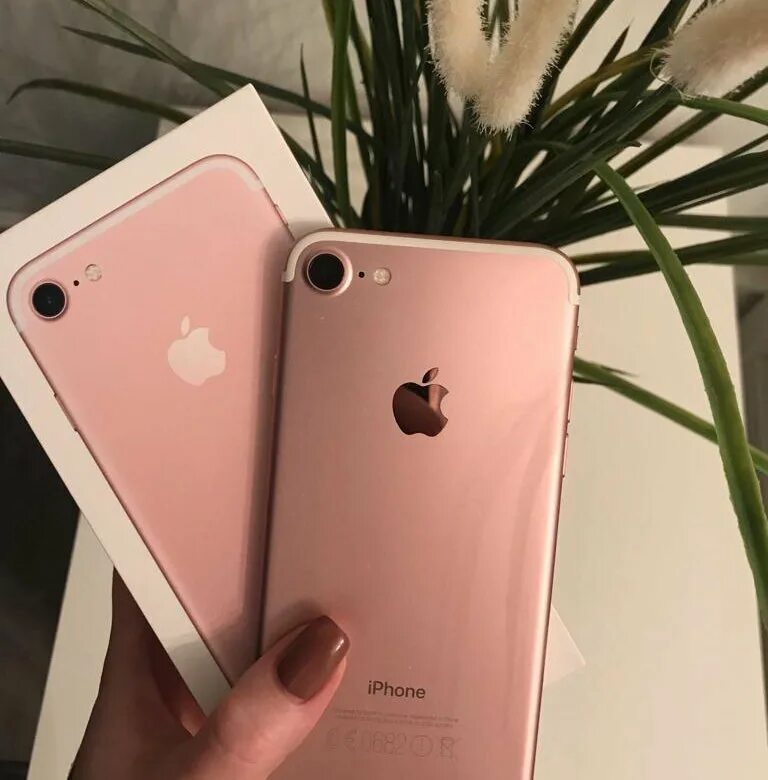 Айфон 7 розовый. Iphone 7 Rose Gold. Iphone 7 Rose Gold 128 GB. Iphone 7 Pink. Iphone 7 Pink Gold.