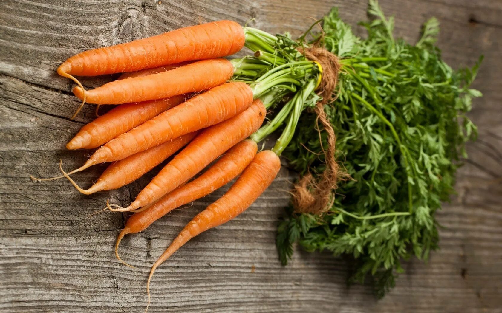 Carrot vegetable. Юкон морковь. Морковь сорт Мустанг. Морковь Найджел f1. Морковь в пучках.