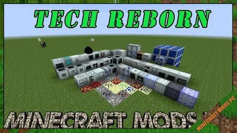 Reborn 1.16 5