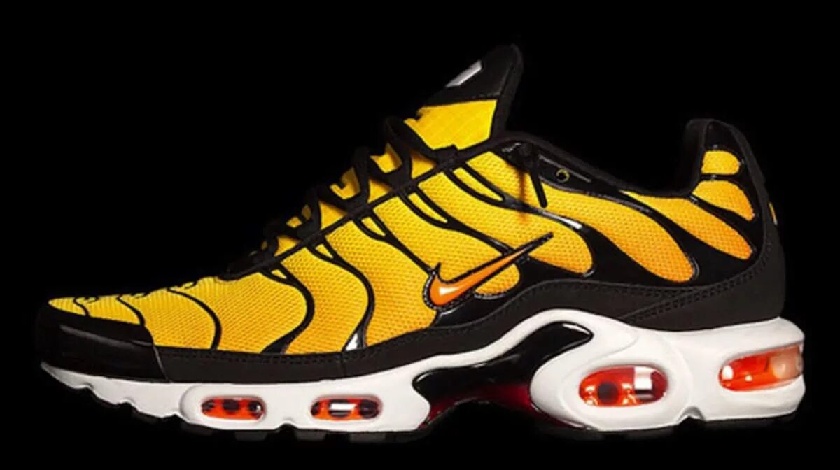 Nike tiger. Nike air max tn plus tiger. nike tn plus tiger. nike air + тайгер. air max тигровые.