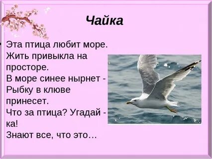 Как пишется слово море