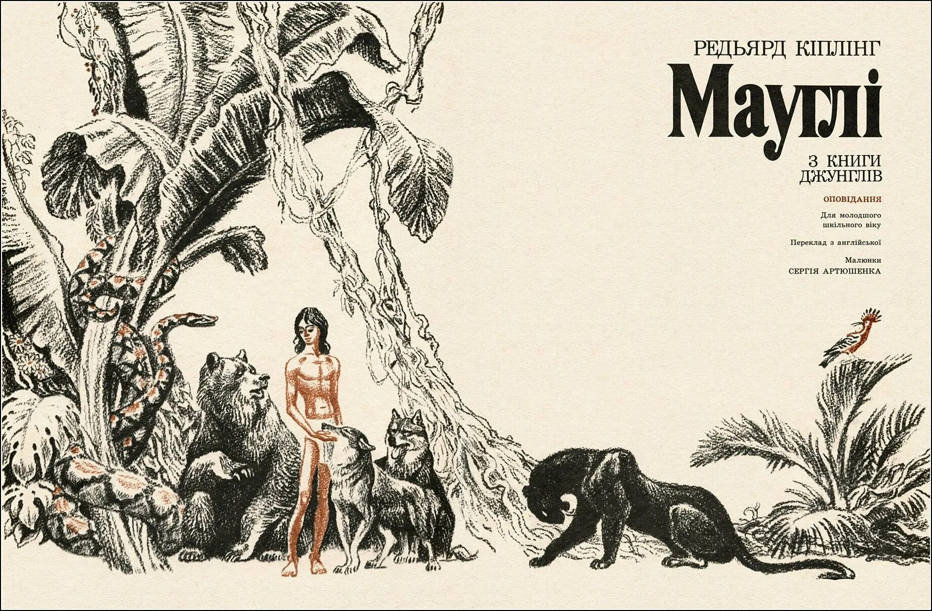 Маугли книга джунглей книга. Первая книга джунглей киплинг. Сочинение по сказке маугли. Редьярд киплинг "маугли". Киплинг произведения для детей.