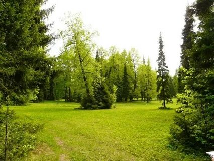Липовая гора пермь