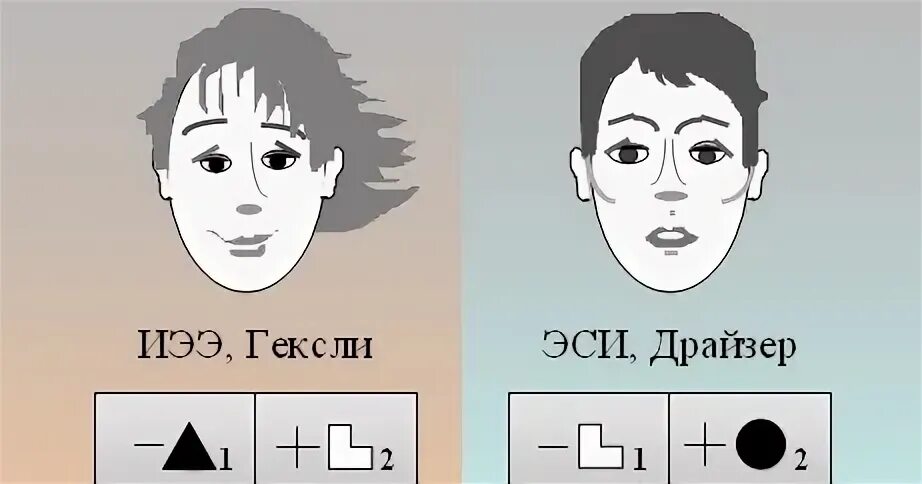 Интуитивно этический. Этико-сенсорный интроверт. Этико-сенсорный интроверт Драйзер. ИЭЭ соционика. Интуитивно-этический экстраверт.