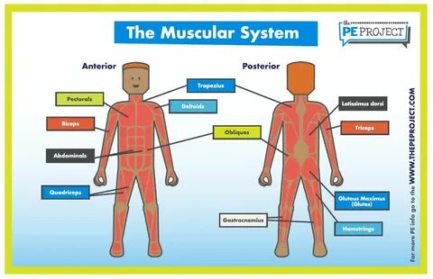 Physical system