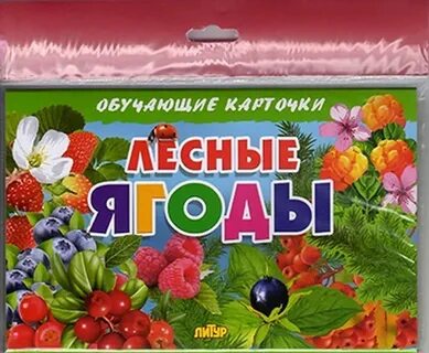 Книга ягоды