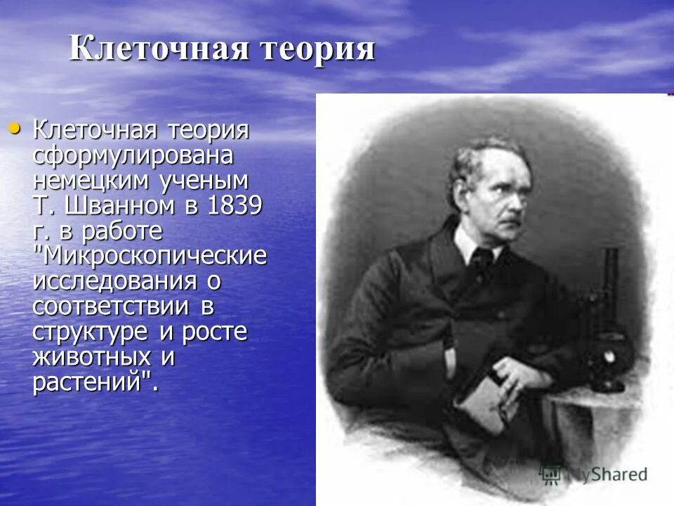немецкий ученый сформулировавший. немецкий ученый сформулировавший. закон лимитирующего фактора либиха. биогенетический закон геккеля примеры. немецкий ученый сформулировавший.