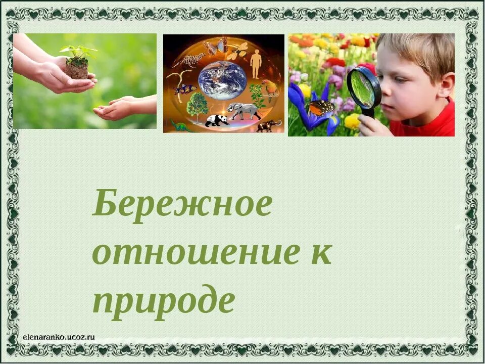 Бережное отношение к русскому. Бережное отношение к природе. Воспитывать бережное отношение к природе. Бережное отношение к природе для детей. Сообщение о бережном отношении к природе.