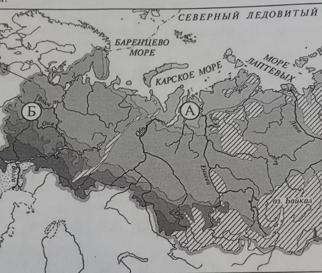 Природные зоны четвертый класс впр. Карта России черно белая природные зоны. Карта природных зон России. Название природной зоны а и б. Карта России природные зоны а и б.