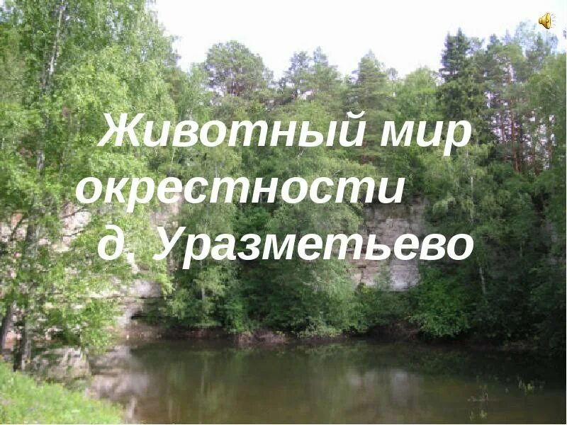 Погода уразметьево пермский край. Пермский край Октябрьский район д Уразметьево. Карст д Уразметьево Пермский край Октябрьский район. Карта Пермский край Уразметьево. Тюинск Пермский край Октябрьский район.