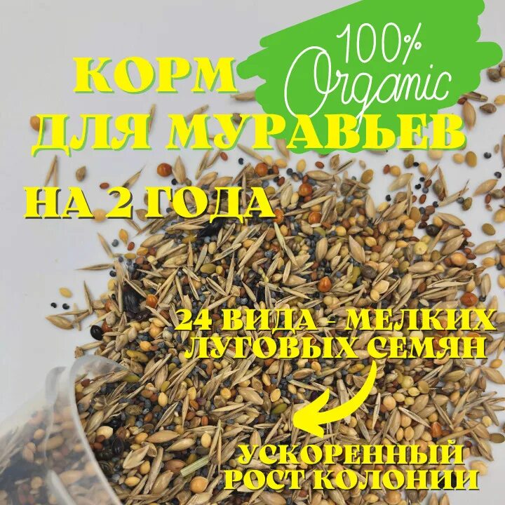 Корм для муравьев жнецов. Живой корм для муравьев жнецов. срок годности корма для муравьëв жнецов ант планегг.